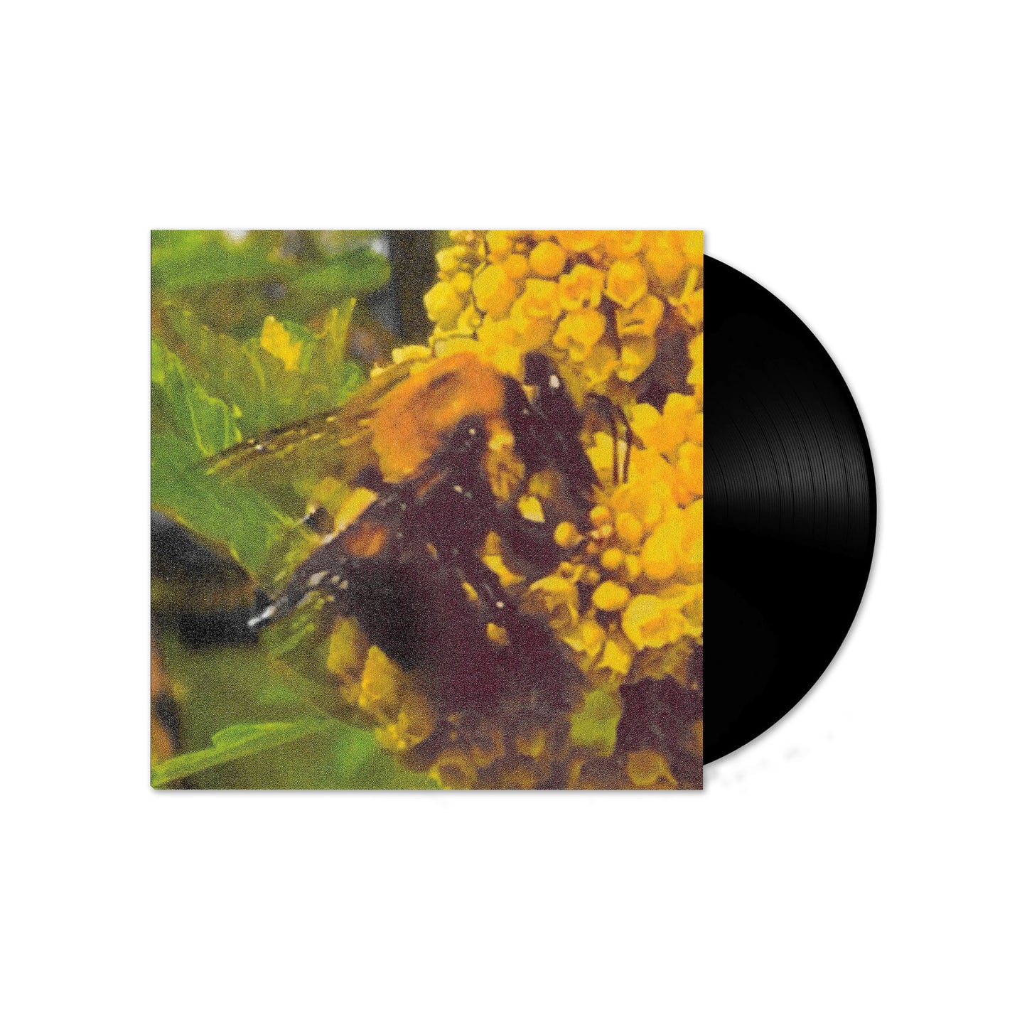 Natural Pleasure (Black) Vinyl LP