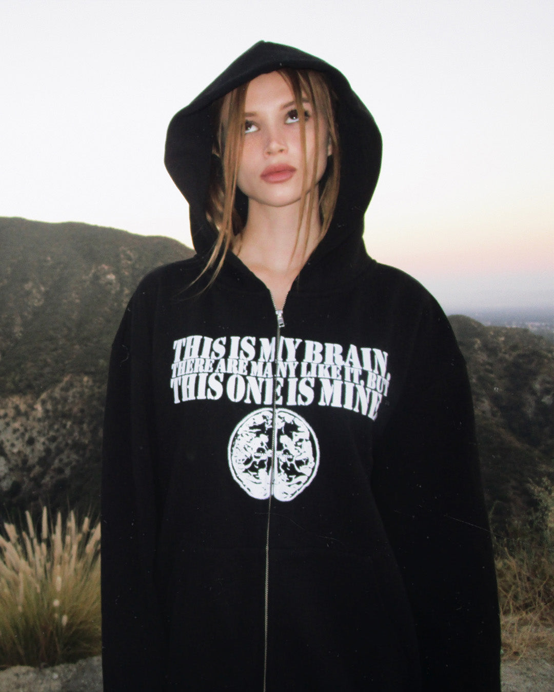 This Is My Brain Hoodie